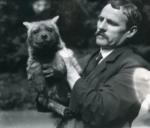 Keeper Charles Dixon holding up a baby hyaena at London Zoo, 1919